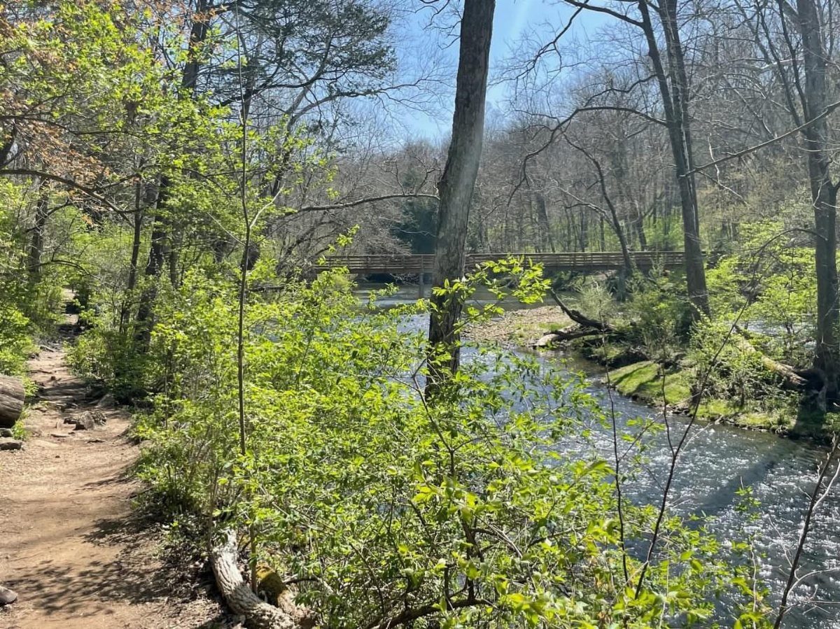 Dirt hiking trail next to a river with a wooden bridge in forest