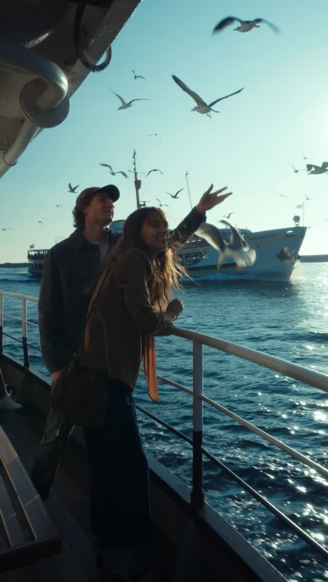 Couple on a boat deck watching seagulls fly over blue ocean water