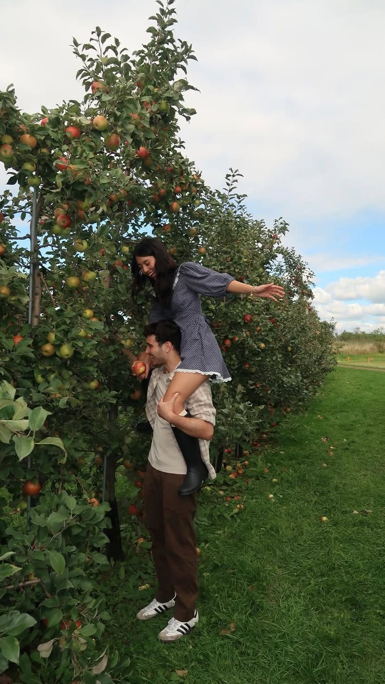 Couple picking red apples in an orchard with the man lifting the woman.
