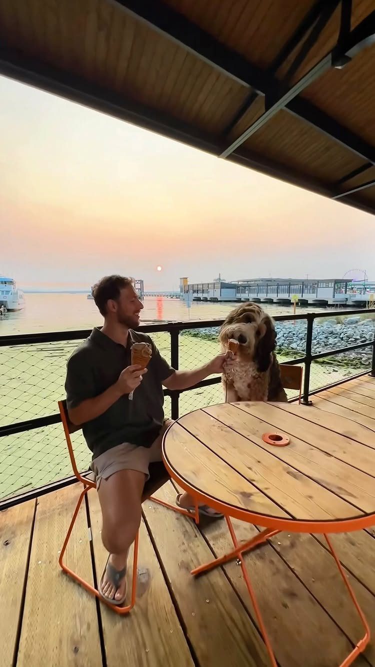 Man petting a large brown dog at a waterfront outdoor table during sunset.