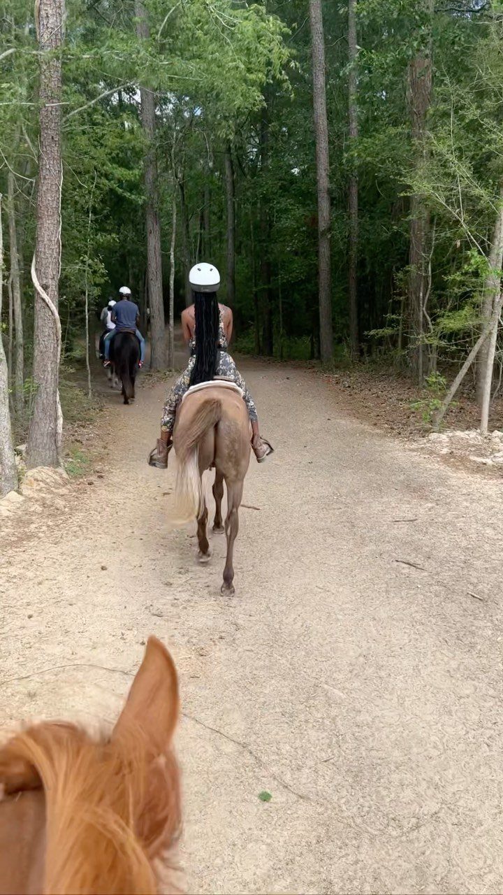 People riding horses on a dirt trail through a dense green forest.