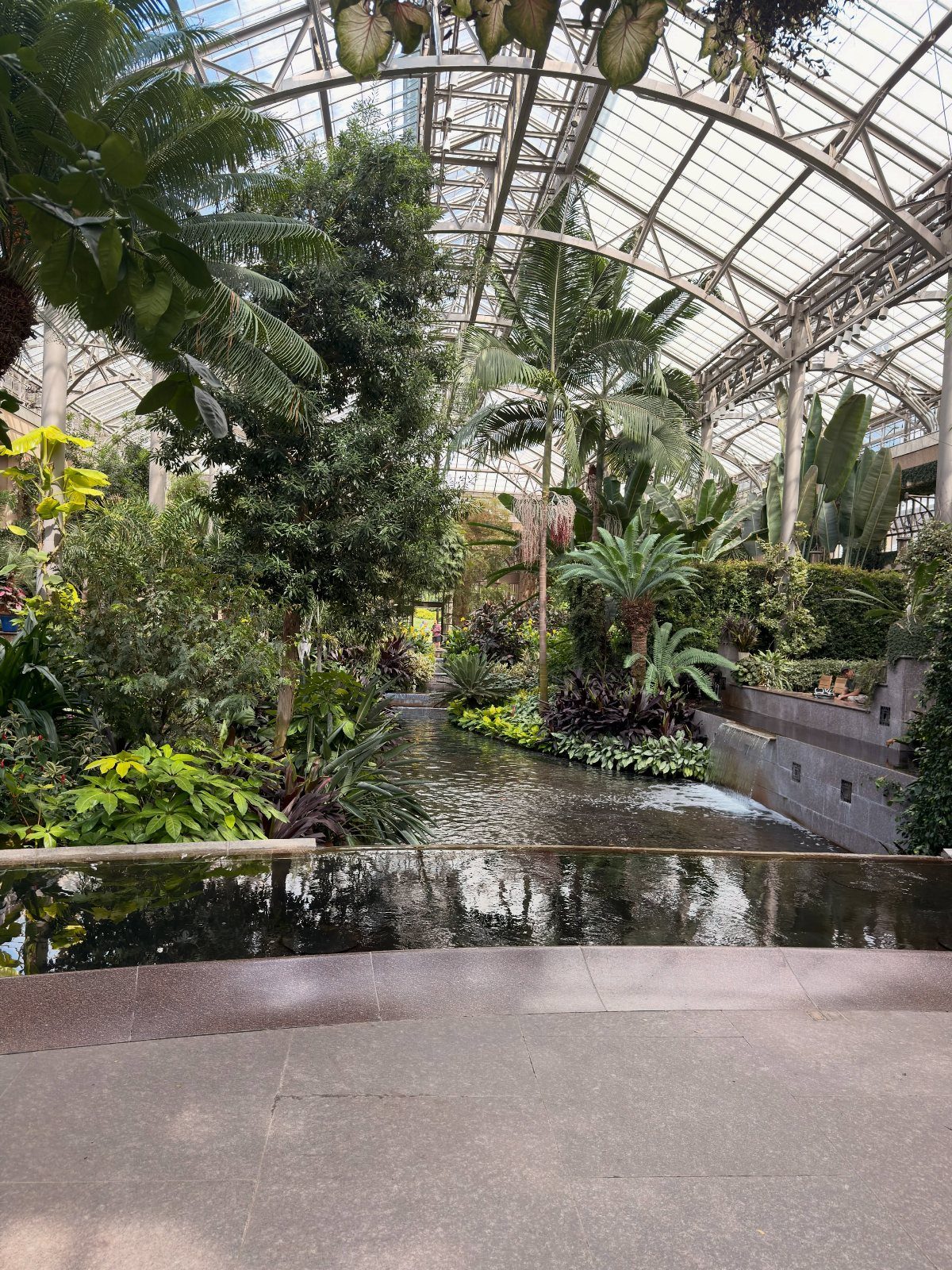 Lush tropical plants and a water feature inside a glass conservatory garden.