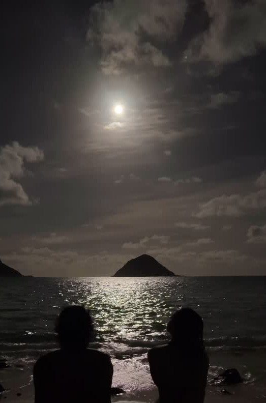 Two people silhouetted on a beach at night under a bright full moon.