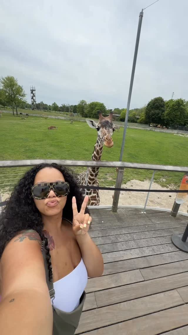 Woman taking a selfie with a giraffe in the background at a zoo.