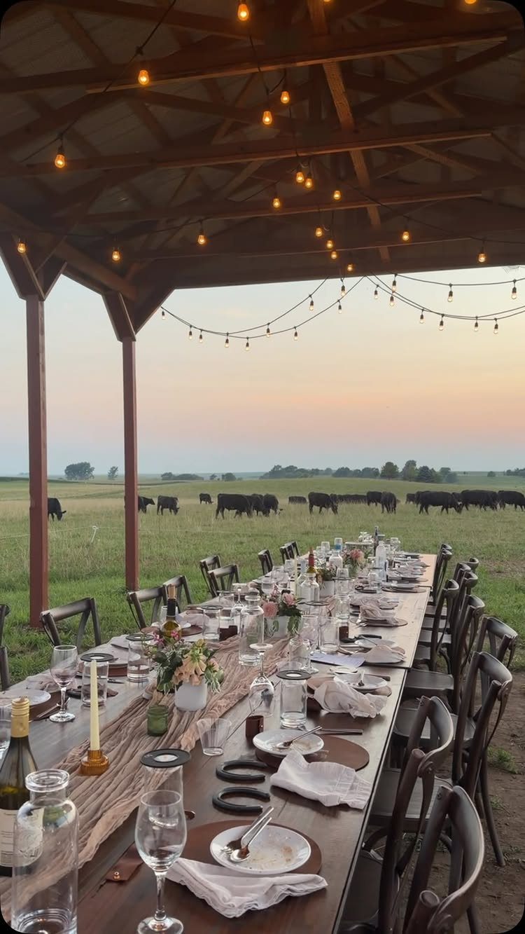 Long wooden dining table set for a feast overlooking a field of grazing cows.