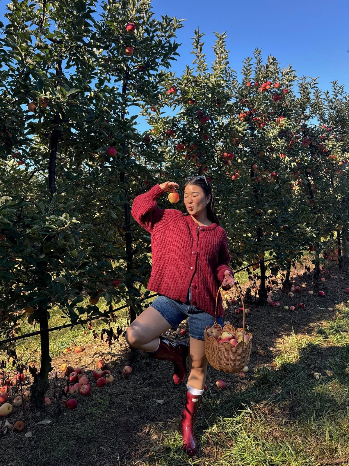 Woman in red cardigan picking apples in an orchard with a wicker basket.