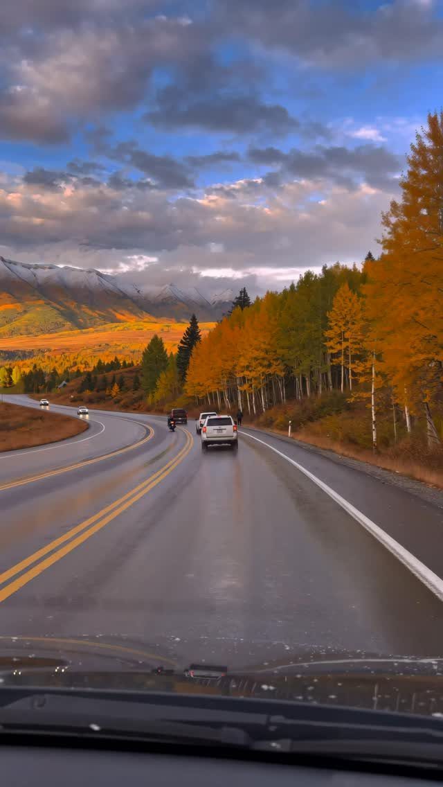 Wet highway winding through yellow autumn trees toward snow-capped mountains under cloudy skies.