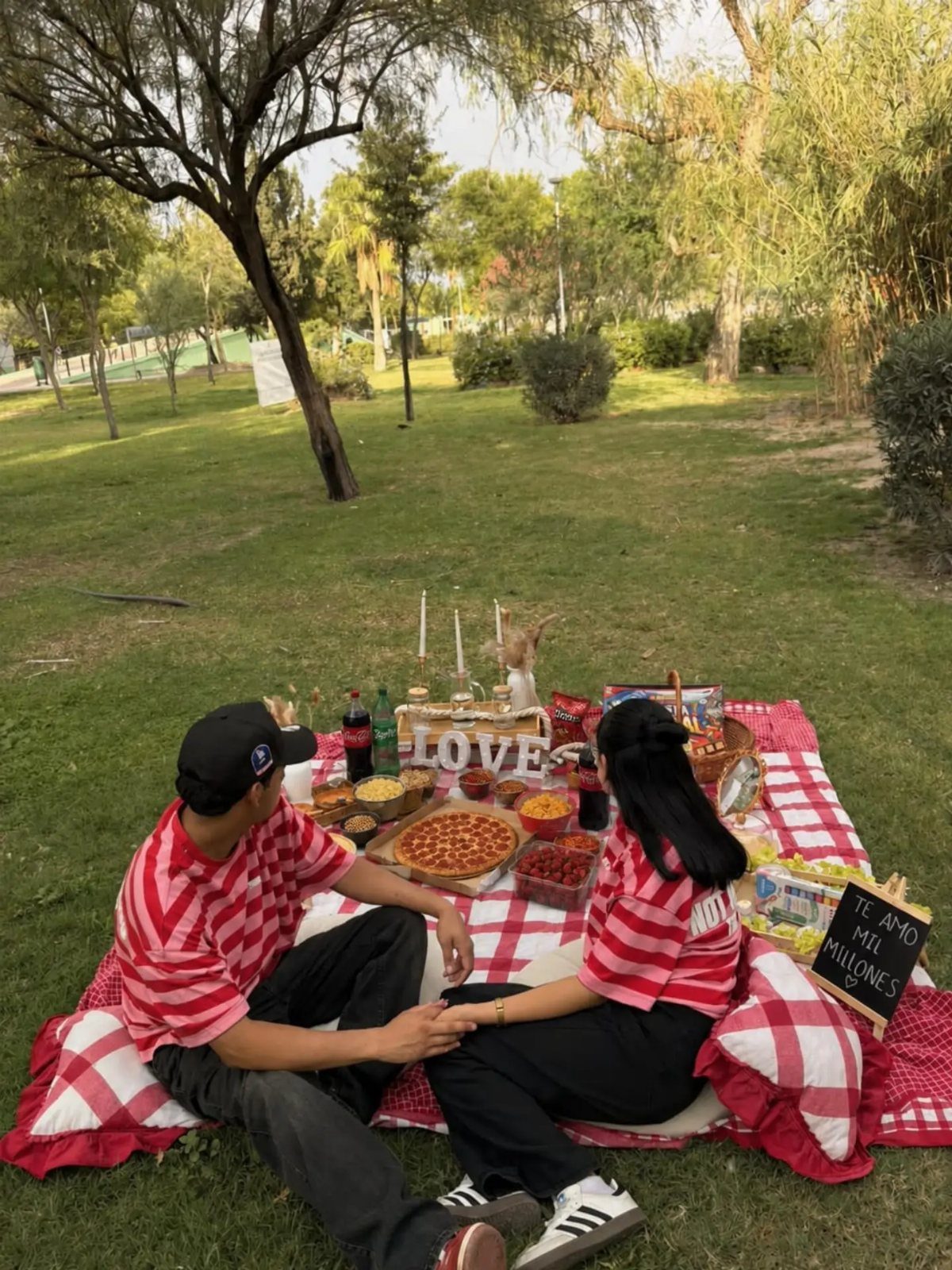 Couple holding hands on a checkered picnic blanket with food in a park
