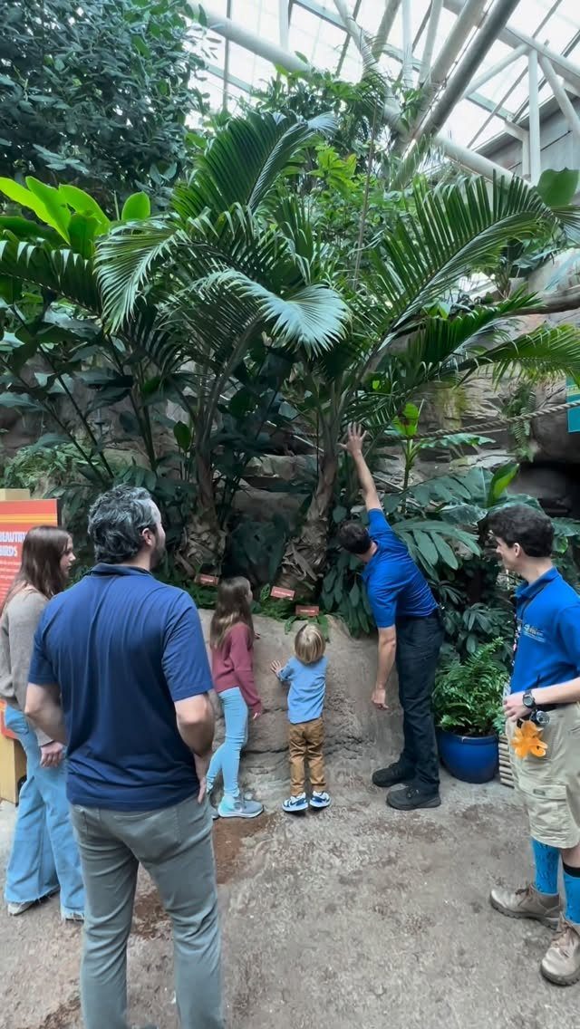 Family and children listening to a guide in a tropical indoor botanical garden