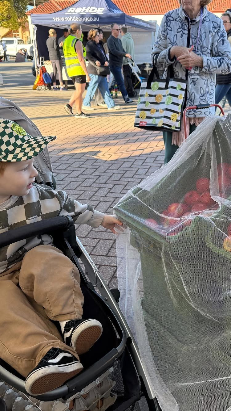 Young child in a stroller looking at red apples at a local market.
