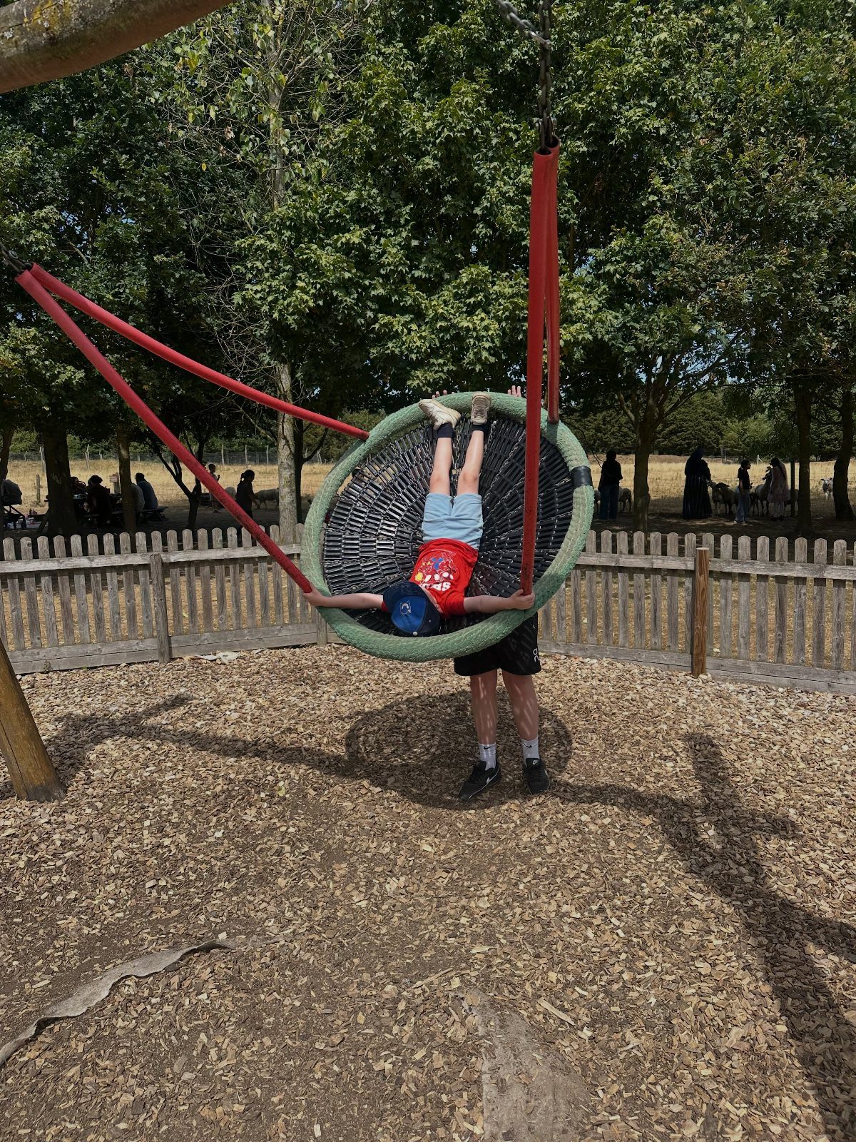 Child hanging upside down in a large green nest swing at a park