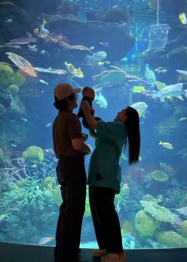 Family standing in front of a large aquarium tank with colorful fish and coral.