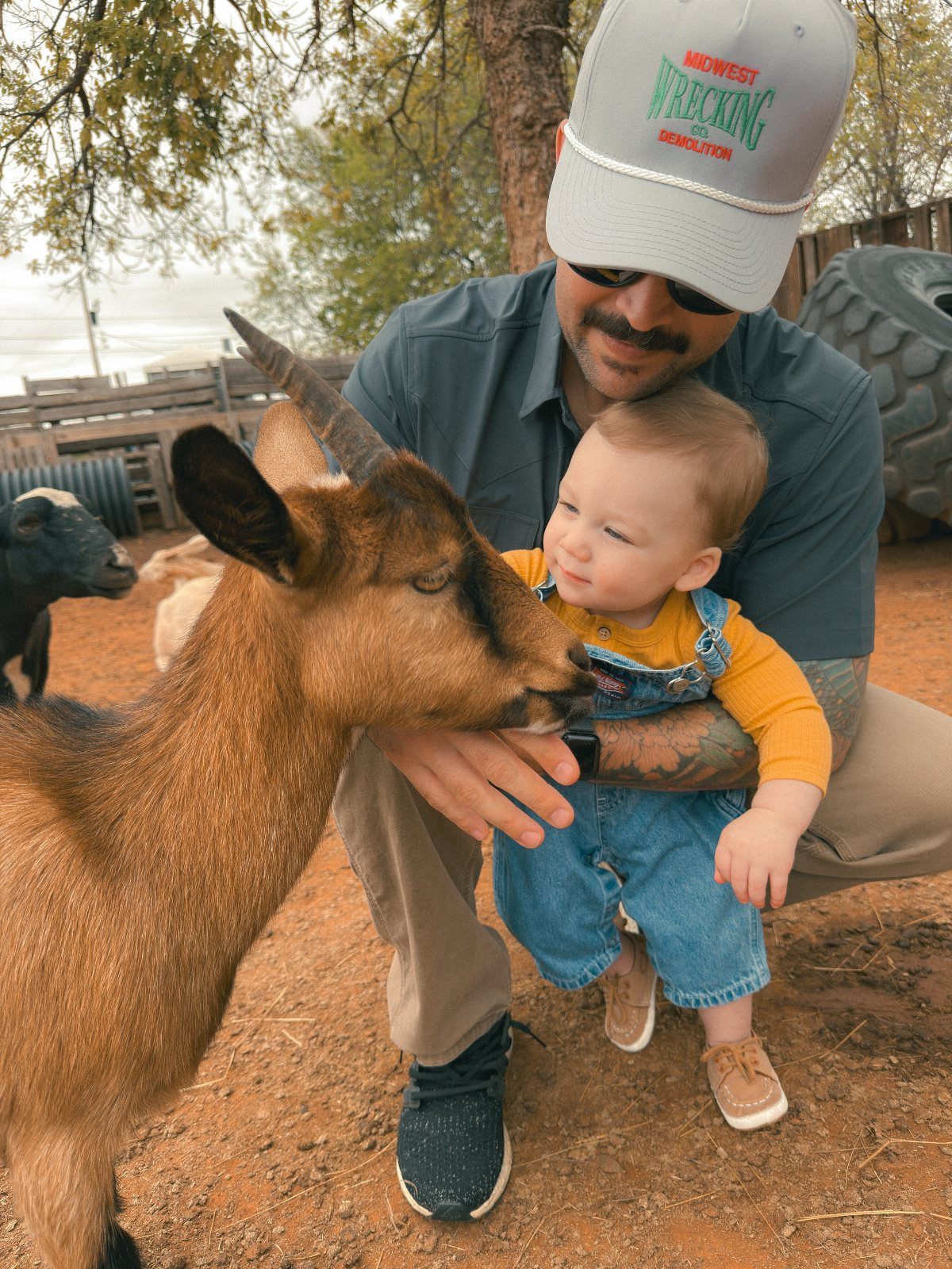 Man and baby interacting with a brown goat at an outdoor farm setting.