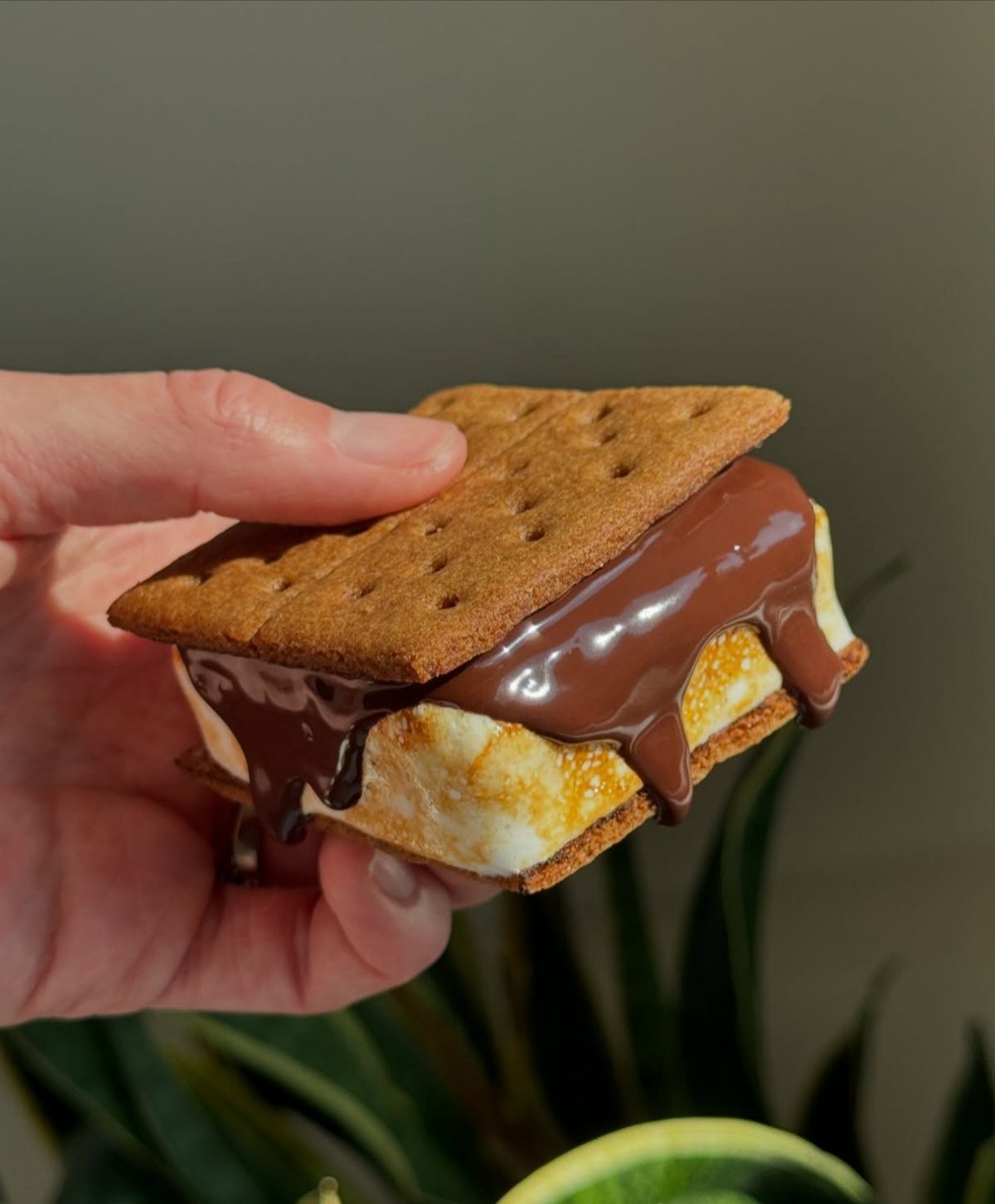 S'more with melted chocolate and toasted marshmallow held in a person's hand.