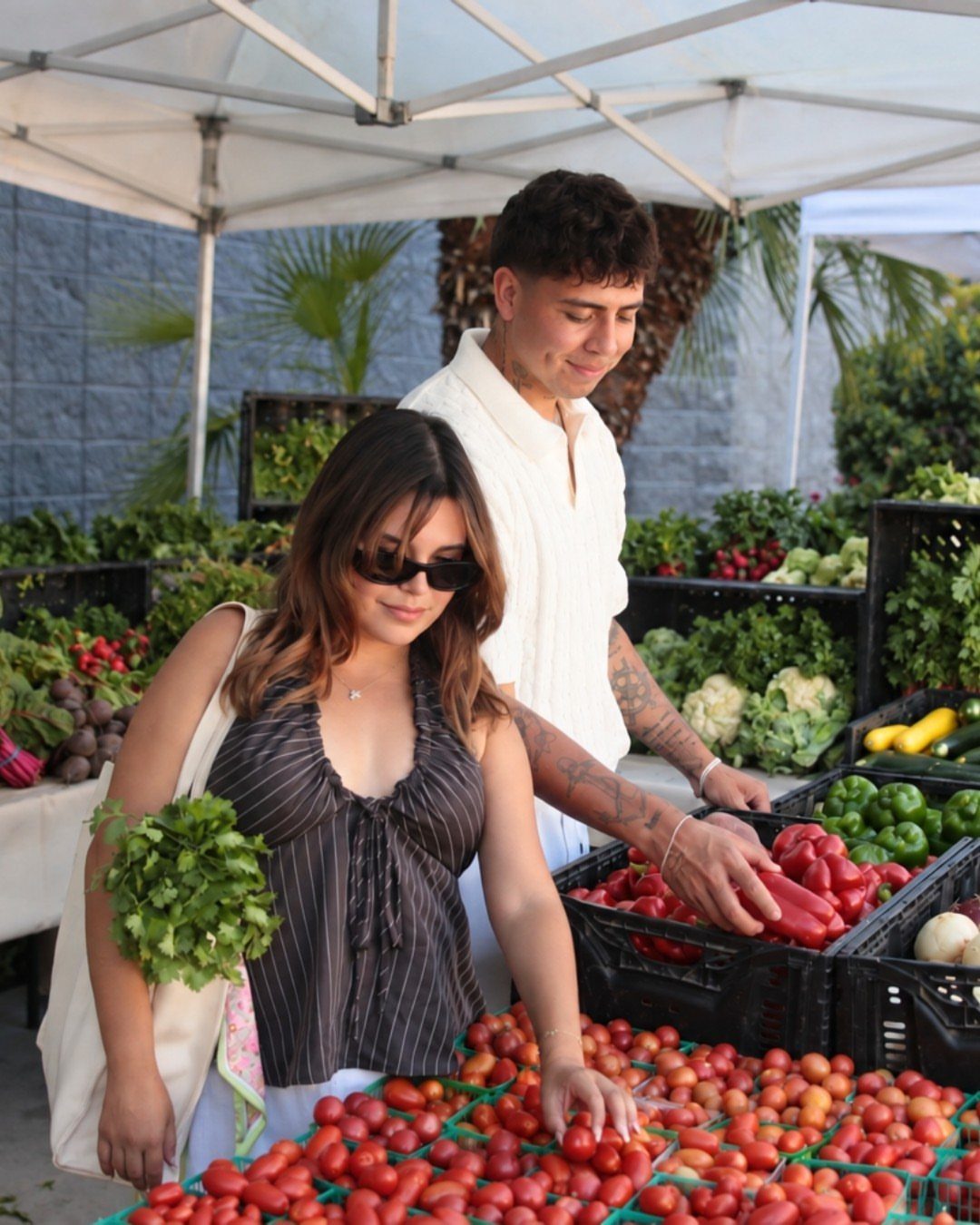 Young couple selecting red tomatoes from crates at an outdoor farmers market.