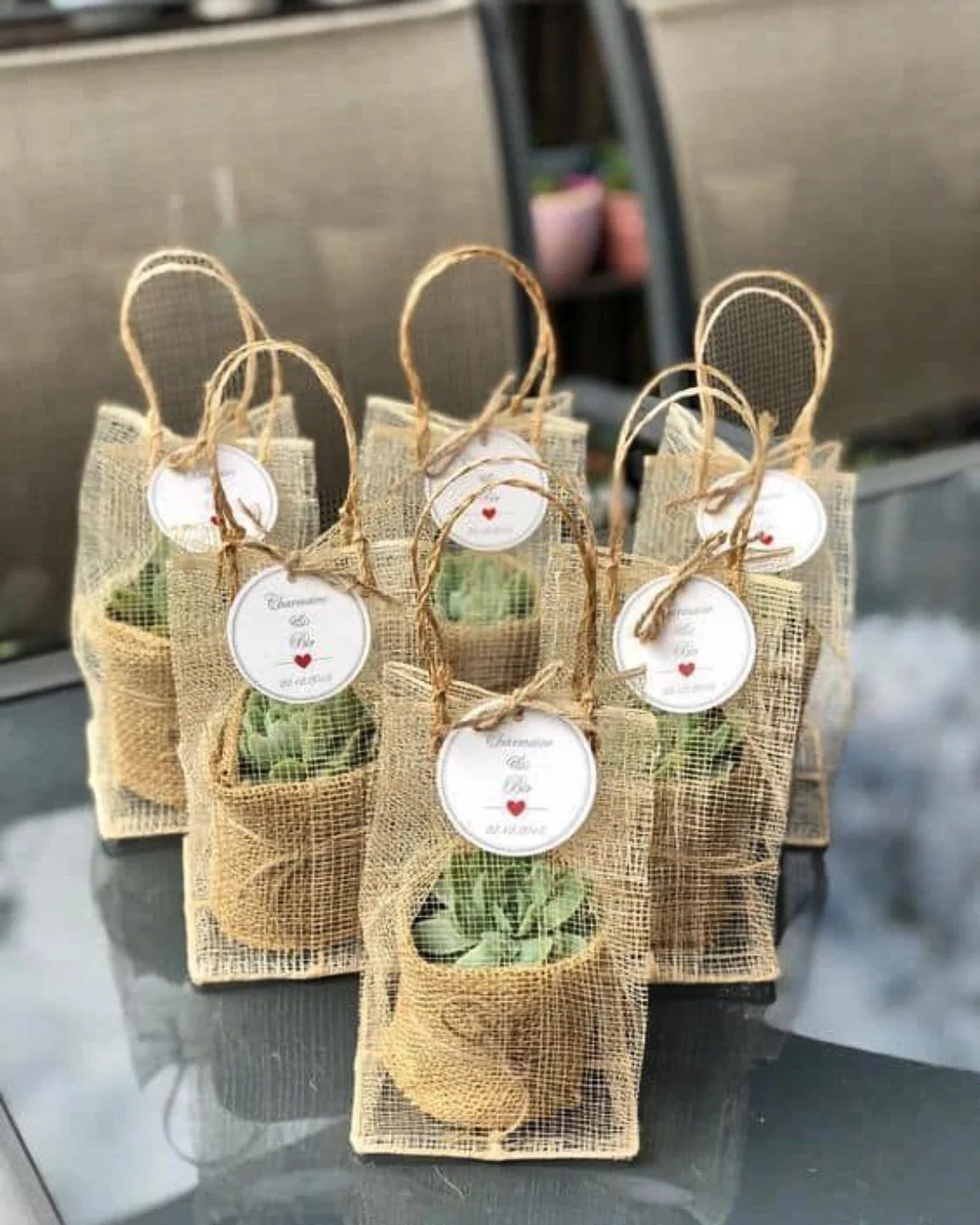 Small succulent plants in burlap wraps and mesh bags with white gift tags.