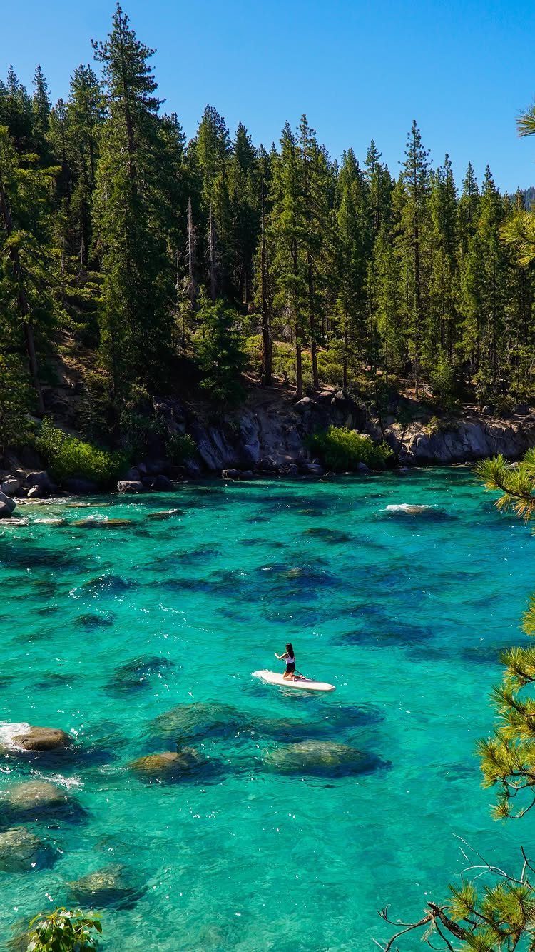 Person paddleboarding on a clear turquoise lake surrounded by a dense pine forest.
