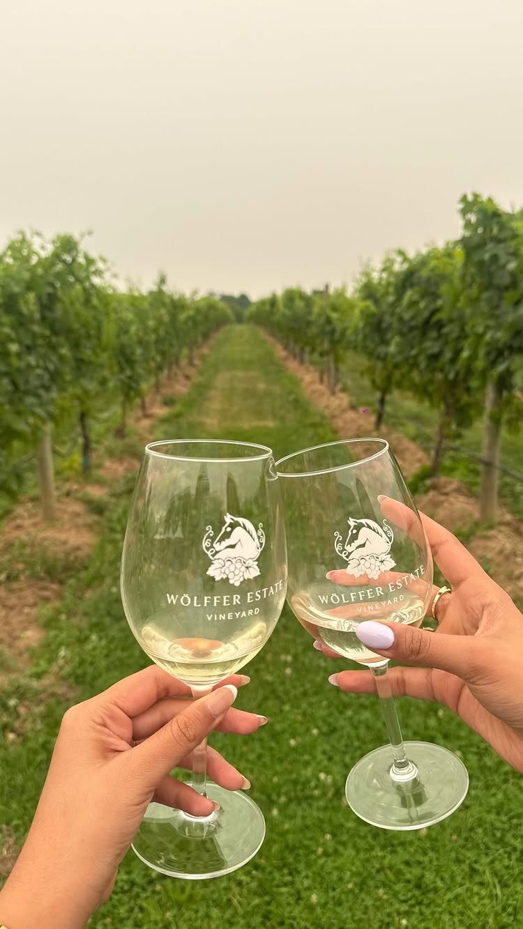 Two wine glasses clinking in a toast amidst rows of a green vineyard.