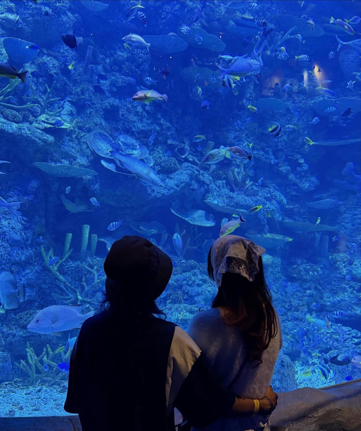 Couple standing arm-in-arm looking at fish in a large blue aquarium tank