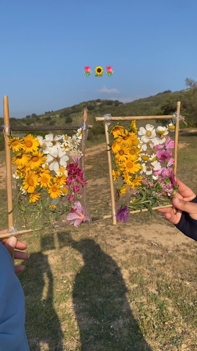 Two pressed flower frames held up against a backdrop of hills and sky.