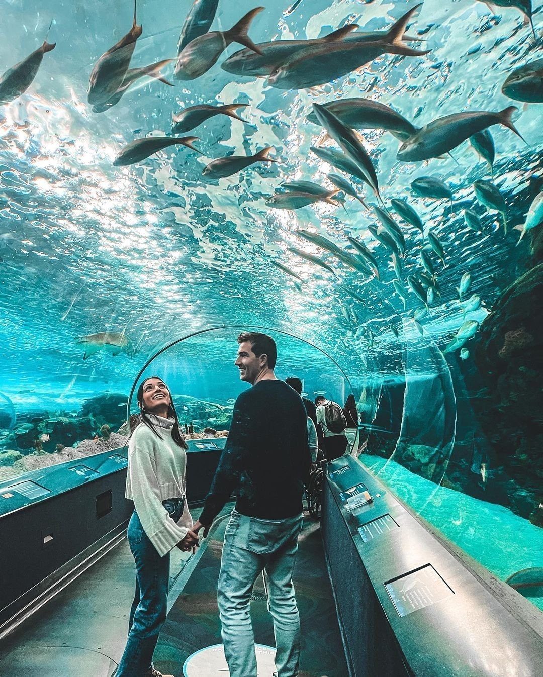 Couple holding hands in an underwater aquarium tunnel with fish swimming above them.
