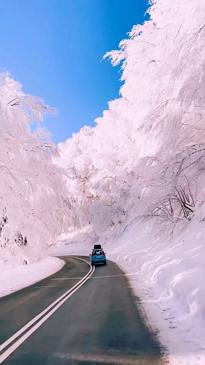 Blue car driving on a winding road through a frost-covered winter forest